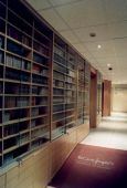 Haga click para ampliar la imagen